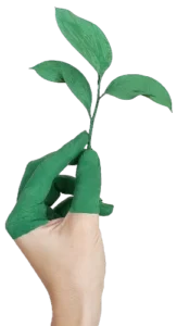 ma tallada low resu enfoque