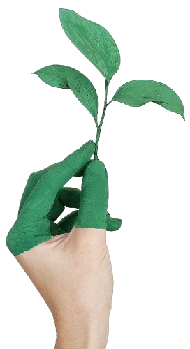ma tallada low resu enfoque